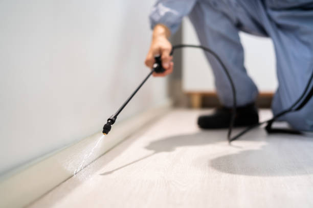 Rodent Entry Point Assessment in Woodstock