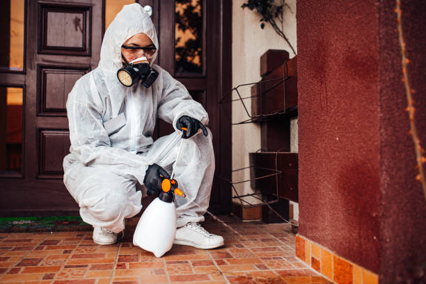 Attic and Crawl Space Rodent Treatment in Woodstock