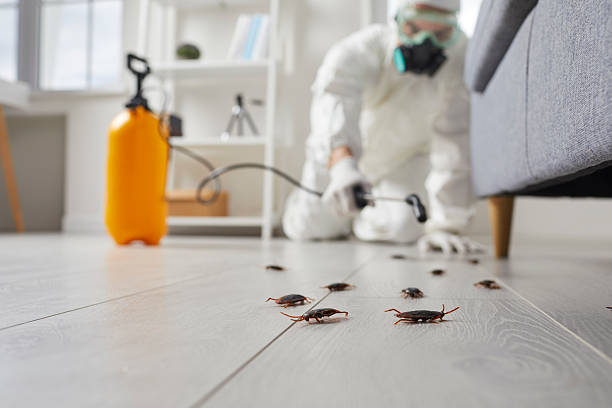 Commercial Rodent Management in Woodstock